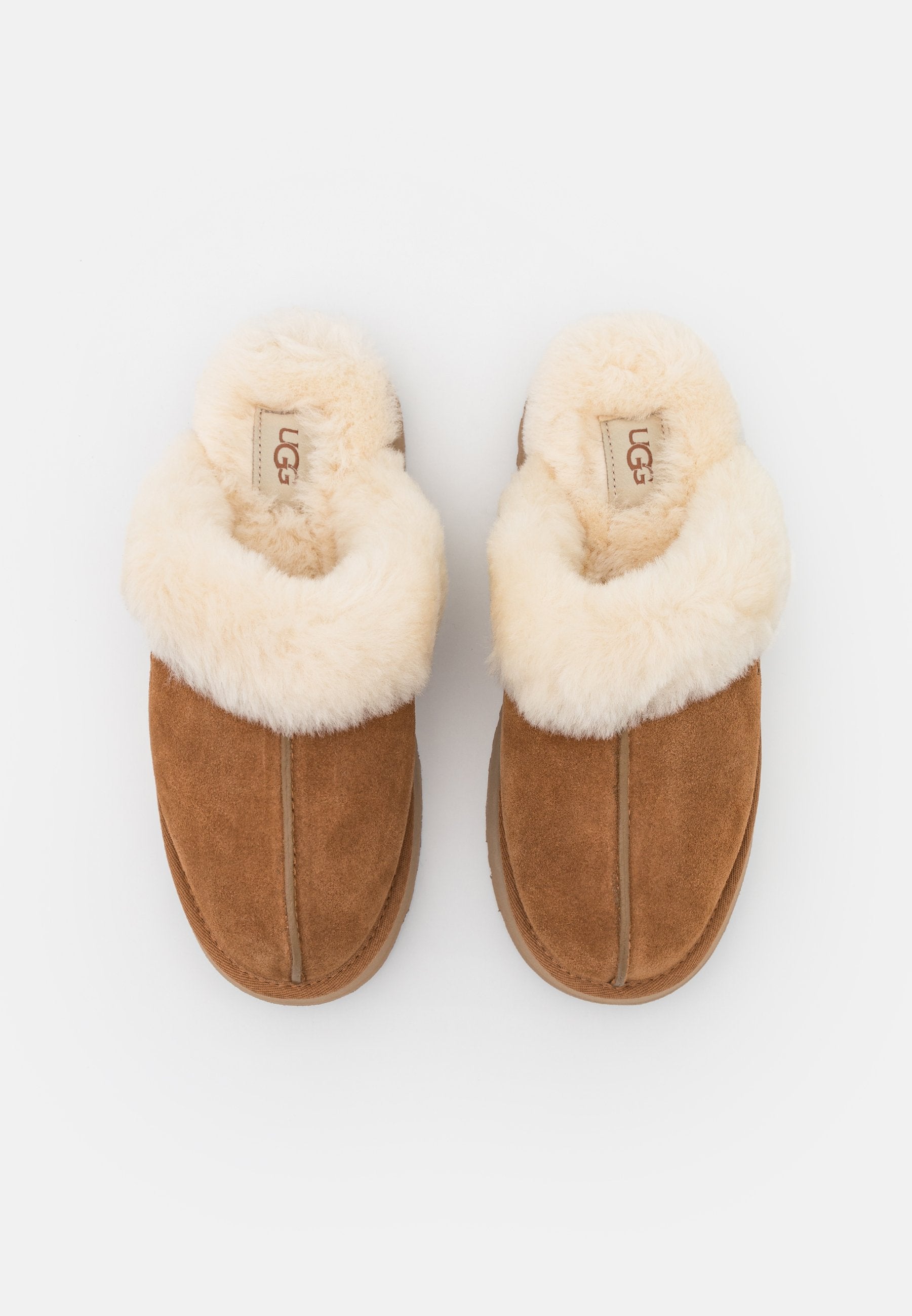 UGG DISQUETTE