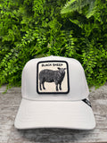 CAPPELLO GOORIN BROS SHEEP PLATINUM