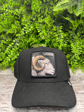CAPPELLO GOORIN BROS THE SUEDE RAM HAT